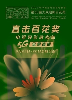 第35届大众电影百花奖