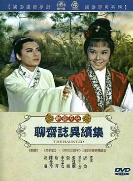 勒沃库森VS菲尔特