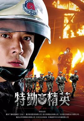 特勤精英DVD