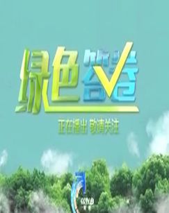 绿色答卷