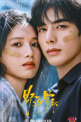 终极笔记电视剧免费观看完整版