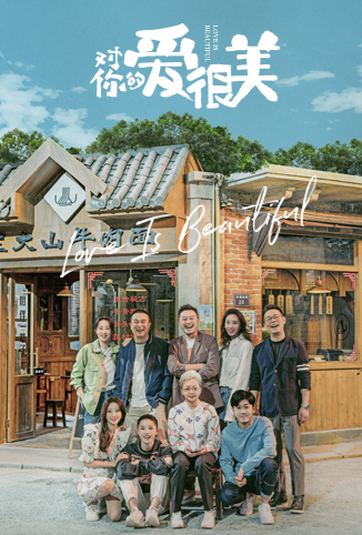对你的爱很美DVD版