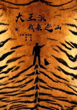 柔情史