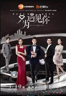 只为遇见你DVD