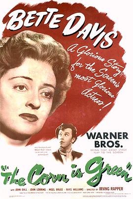 雨林之子