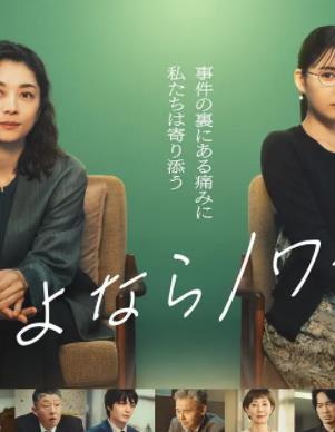女士的法则