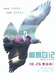 追鹰日记