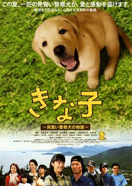 至暗陷阱